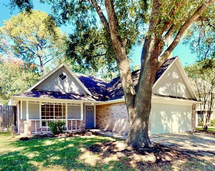 8735 Pines Place Drive, Humble