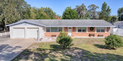 3419 Gleaves Court, Apopka