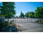 NE DIAMOND LAKE BLVD, Roseburg image
