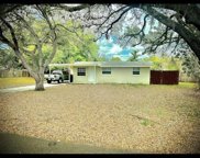 4210 E Regnas Avenue, Tampa image