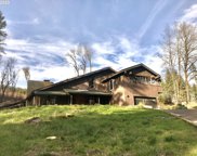 25489 BUTLER RD, Junction City image