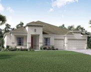 10164 Dolphin Gull Circle, Thonotosassa image