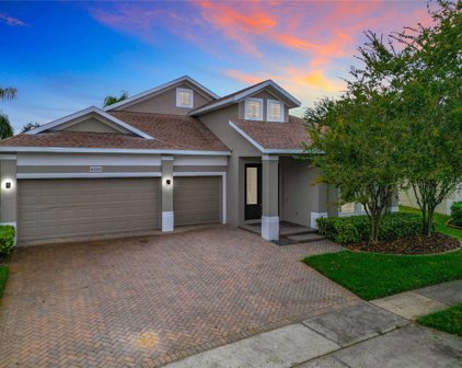 6230 Andreozzi Lane, Windermere