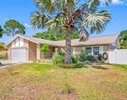 14305 Chaparell Place, Tampa image