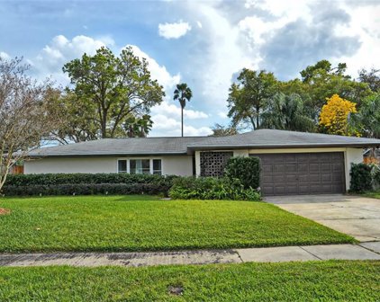 2412 Timberlake Drive, Orlando