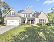 247 Royal Tern Drive, Sneads Ferry image