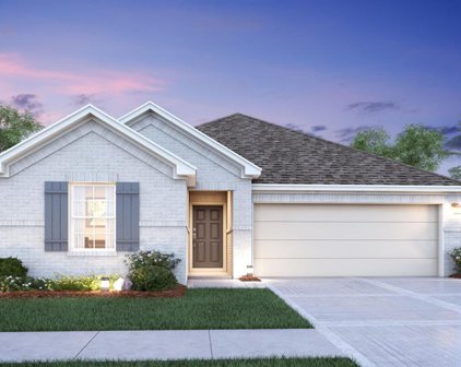 949 Gentle Moss Drive, Magnolia