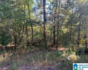 5711 Amber Hills Road, Birmingham image