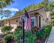3106 Windmoor Drive N, Palm Harbor image