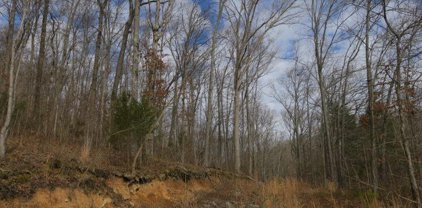 4404 Hannah Ford Rd, Pegram