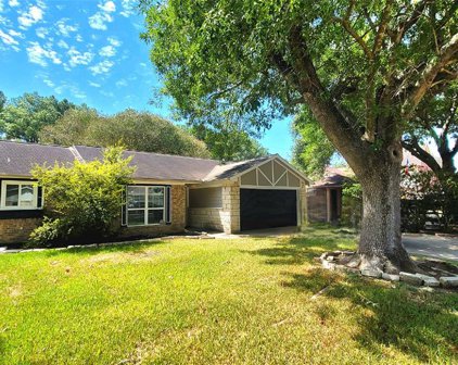 2615 Blue Mist Drive, Sugar Land