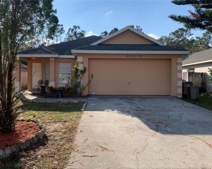 2146 Fish Eagle Street, Clermont