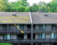 1081 Cove Rd, Sevierville image