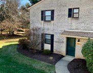 2971 Aronimink, Lower Macungie Township image