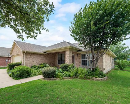302 Chinaberry  Trail, Forney