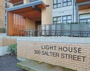 300 Salter Street Unit 222, New Westminster image