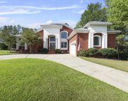 105 Bass Pointe Lane, Chapin image