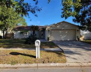 103 Meadowcross Drive, Safety Harbor image