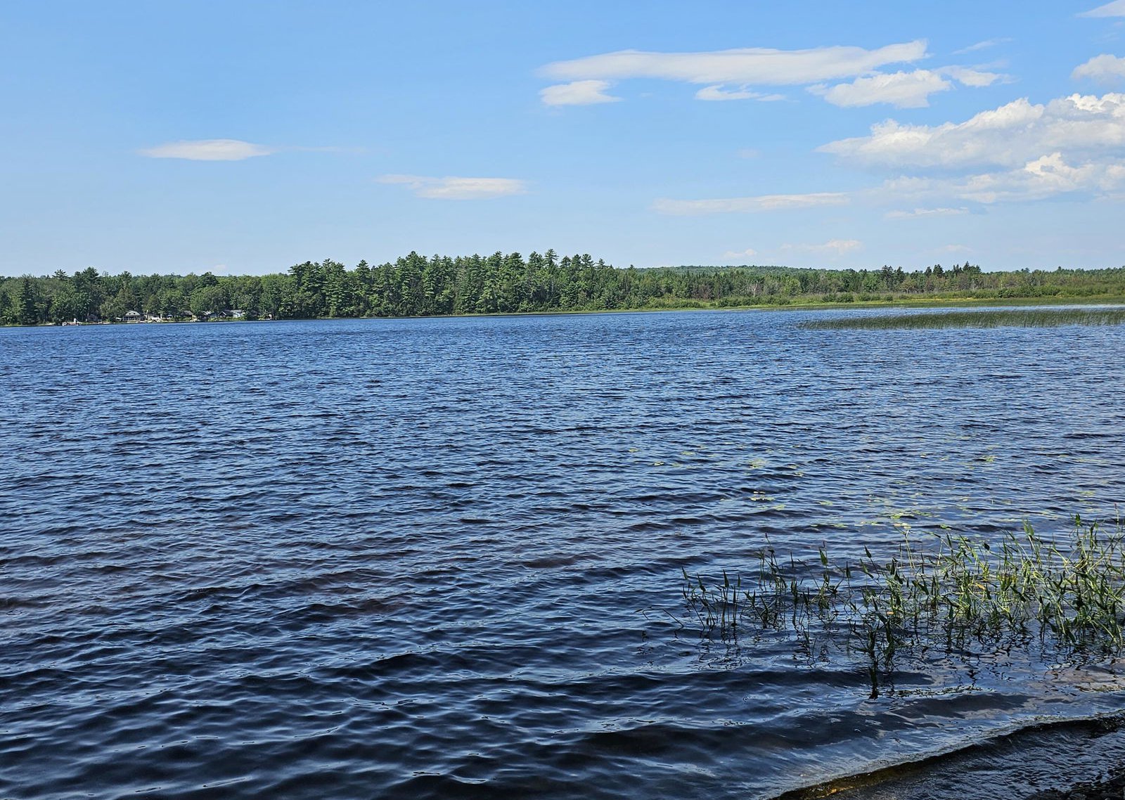 L7 S Molunkus Lake Road, T1 R5 Wels, 04733