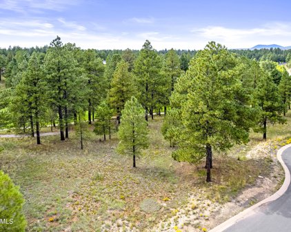 2931 S Solitaires Canyon Drive Unit 343, Flagstaff