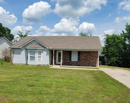 903 Lost Cedar Ct, La Vergne