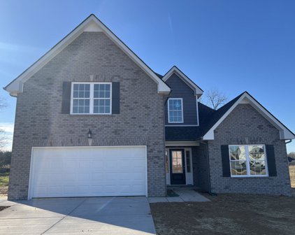 2715 Mesa Dr, Christiana