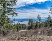 NNA T1-B Green Monarch, Sandpoint image