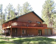 24120 Goodart Road, Hill City image