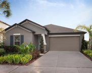 10215 Shady Preserve Drive, Riverview image