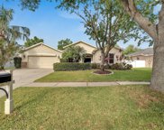 2816 Rolling Acres Place, Valrico image