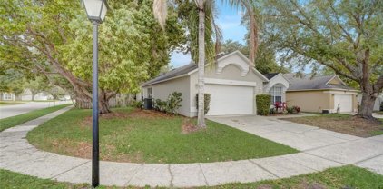4225 Boca Woods Drive, Orlando