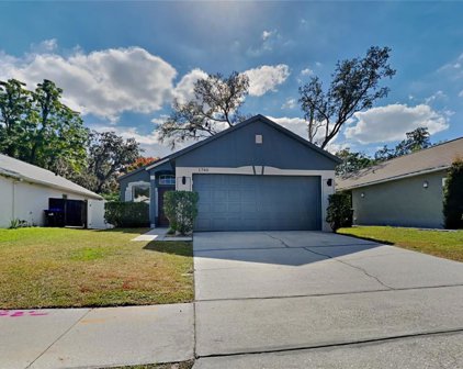 1740 Wekiva Crossing Boulevard, Apopka