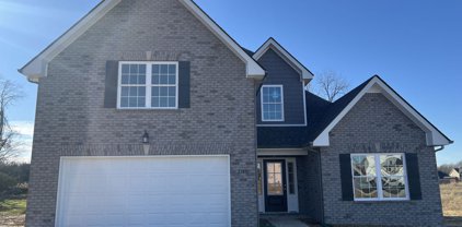 2715 Mesa Dr, Christiana