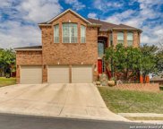 10527 Wind Walker, Helotes image