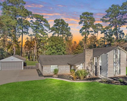 18910 Sandpiper Lane, Tomball