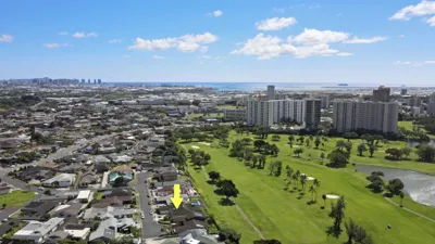 1446 Ala Leie Place Aerial View