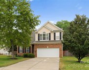 907 Laurel Meadow  Drive, Fort Mill image