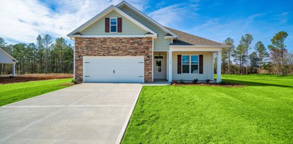 114 HIGH BRASS Way, Hephzibah