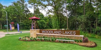 24707 Stablewood Forest Court, Huffman