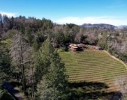 3851 Spring Mountain Road, St. Helena image