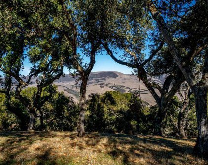 17114 Cachagua RD, Carmel Valley