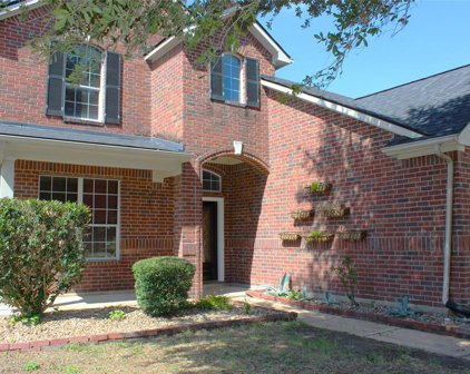 6519 Briar Moss Lane, Katy