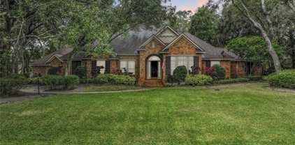 211 Piney Woods Road, Apopka