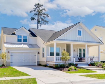 1609 Bourne Crossing, Mount Pleasant