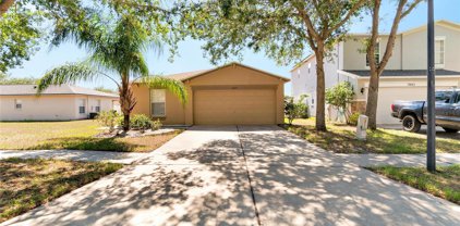 7845 Carriage Pointe Drive, Gibsonton