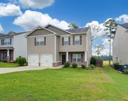 1228 Cypress Valley Drive, Chapin image