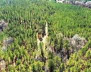 TBD Scotts Crossing Road, Winnsboro image