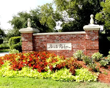 Bridle Ridge