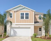 3735 Dusty Miller Place, Haines City image