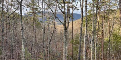 000 Sulpher Springs Way, Sevierville